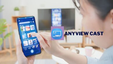 Anyview Cast