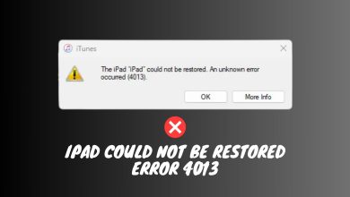 iPad could not be restored error 4013