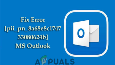 Fix Error [pii_pn_8a68e8c174733080624b]